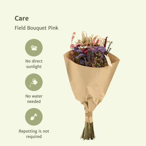 Trockenblumenstrauß – Feldblumen Rosa – Ø20cm ↕50cm – Getrocknete Blumen – Romantisch & Natürlich – Dekostrauß für Innenräume – Plant