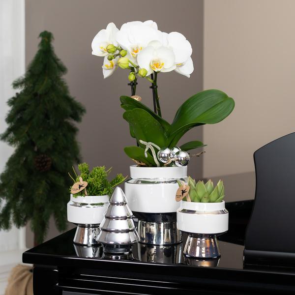 Le Chic Blumentopf Weiß mit silbernen Details – Dekorativer Keramiktopf Ø9cm – Eleganter Ziertopf für Orchideen & Grünpflanzen – Plant