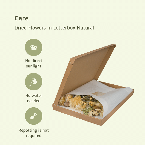 Trockenblumen im Briefkasten – Natur – Getrockneter Blumenstrauß – Beige, Weiß & Rosa – langlebig & pflegefrei – Geschenkidee – 25-30cm – Plant