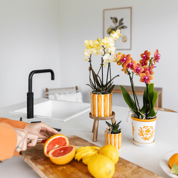 Dekotopf Keramik – Blumentopf Bemalter Streifen Orange – Ø9cm – Modernes Pflanzgefäß für Zimmerpflanzen & Deko – Plant