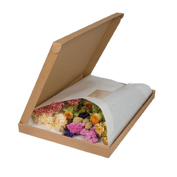 Trockenblumen im Briefkasten – Letterbox Multi – Trockenstrauß in Weiß, Beige & Hellrosa – Elegante Deko – Pflegefrei – Perfekt für Innenräume – Plant