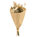 Trockenblumenstrauß – Feldblumen Natürlich – Ø20cm – 50cm hoch – Getrocknete Blumen & Graswedel – Natürliche Beigetöne & Weiß – Plant
