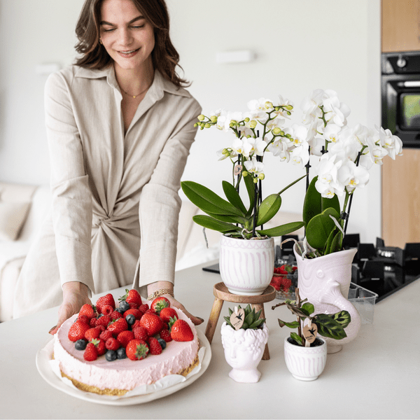 Fisch Topf – Rosa – Ø9cm – Keramik Übertopf in Fischform – Stilvoller Blumentopf für Zimmerpflanzen & Sukkulenten – Plant