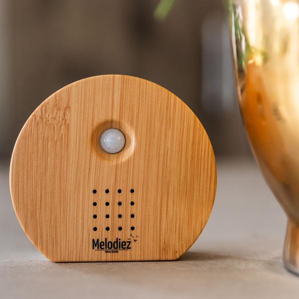 Melodiez Spieluhr Holz – Melody Nature Box mit Bewegungsmelder – Naturklänge wie Vogelgezwitscher, Meeresrauschen & Dschungel – Plant
