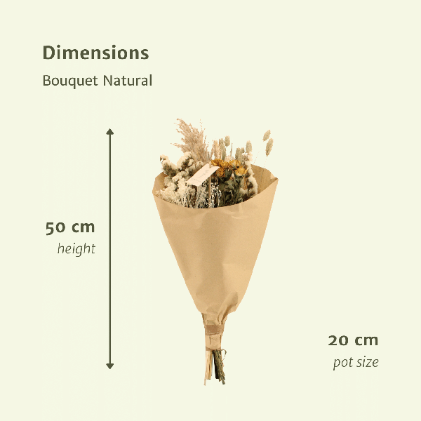Trockenblumenstrauß – Feldblumen Natürlich – Ø20cm – 50cm hoch – Getrocknete Blumen & Graswedel – Natürliche Beigetöne & Weiß – Plant