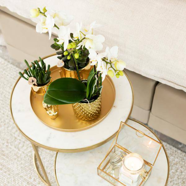 Blumentopf Gold Keramik Metall Ø9cm – moderner Pflanztopf für Zimmerpflanzen, Sukkulenten, Kakteen & Kräuter – Plant