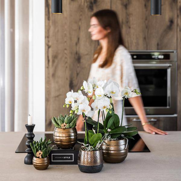 Blumentopf Elite Kupfer – Ø9cm – Moderner Keramik Übertopf – Dekorativer Pflanztopf für kleine bis mittelgroße Zimmerpflanzen – Stilvolle Innendeko – Plant