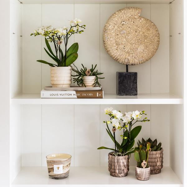 Dekotopf Marmor – Hell – Ø9cm – Keramik Blumentopf in Marmoroptik – Zeitloses Design – Für Zimmerpflanzen, Orchideen & Sukkulenten – Plant