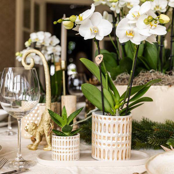 Dekotopf Mosaik – Ø6cm – Blumentopf mit goldenen Mosaikdetails – Stilvoller Mini Pflanztopf für Sukkulenten & kleine Pflanzen – Plant