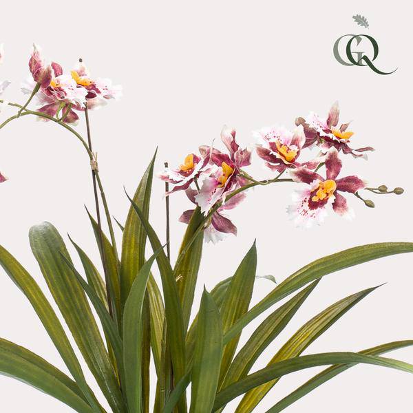 Künstliche Pflanze Orchidee – Bordeaux – 45cm – Täuschend echte Kunstorchidee im Topf – Dekoblume für Wohnzimmer, Büro & Esstisch – Plant
