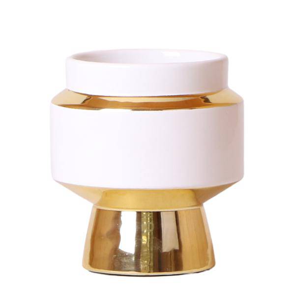 Le Chic Blumentopf Zimmerpflanze Ø9cm mit dekorativem Übertopf – blühende Orchidee für Wohnzimmer, Büro & helle Standorte kaufen – Plant