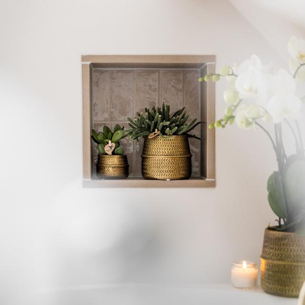 Sukkulenten 2er – Set in goldenen Rillen – Keramiktöpfen – Ø9cm – Pflegeleichte Crassula Ovata & Crassula Hobbit – Zimmerpflanzen für Zuhause & Büro – Plant