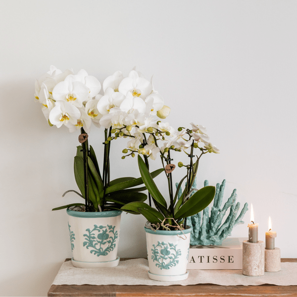 Malaga Übertopf – Türkis – Ø9cm – Blumentopf aus Keramik im mediterranen Stil – Pflanztopf mit handgefertigter Optik – Stilvolle Zimmerdekoration – Plant