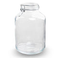 Flaschengarten Glas – Weck – Topf 5L – Ø31cm, Höhe 28cm – Terrarium – Gefäß aus recyceltem Glas – Mit Bügelverschluss – Plant