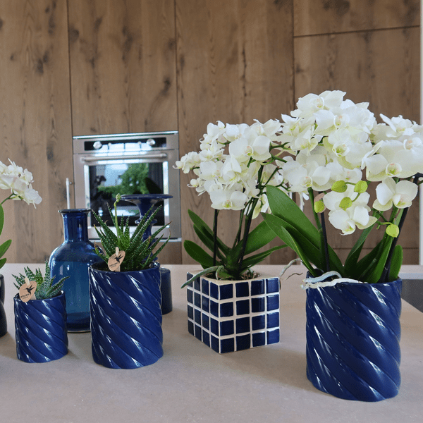 Candy Dekotopf – Hoch – Blau – Ø6cm – Keramik Übertopf in Pastellblau – Stilvoller Blumentopf für Mini – Orchideen & Zimmerpflanzen – Pflanzentopf – Plant