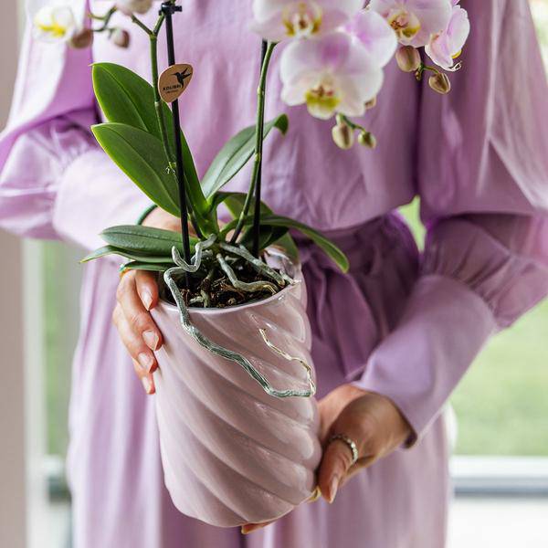 Candy Dekotopf – Hoch – Rosa – Ø9cm – Keramik Übertopf – Runde Form – Farbenfrohes Design – Für Zimmerpflanzen & Orchideen – Plant
