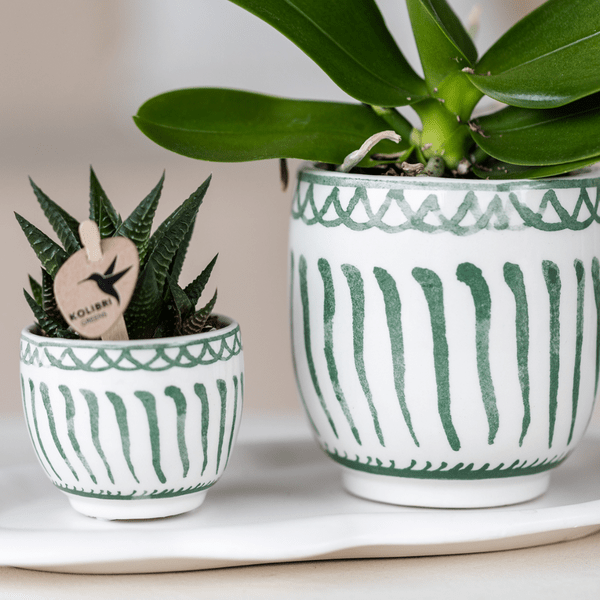 Wolkenteller Ovales Tablett – Weiß – Ø30cm – Dekotablett aus Metall für Orchideen, Pflanzensets & Wohnaccessoires – Modernes Deko – Plant
