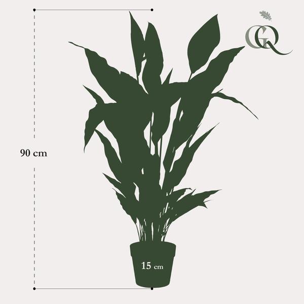 Spathiphyllum – Löffelpflanze – Künstliche Zimmerpflanze – Wartungsfrei – Ø90cm – Deko für Wohnzimmer, Büro & Küche – Plant