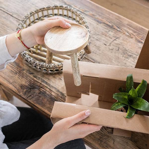 Pflanzenständer Holz Ø12cm Zimmerpflanze Ø12cm ↕10,5cm – pflegeleichte Grünpflanze für Wohnzimmer, Büro & helle Standorte kaufen – Plant