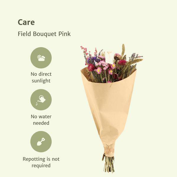 Blumenstrauß Rosa – Getrocknete Blumen – 50cm hoch – Ø20cm – Trockenstrauß im Landhausstil – 10 Sträuße – Langlebige Naturdeko für Zuhause & Feste – Plant