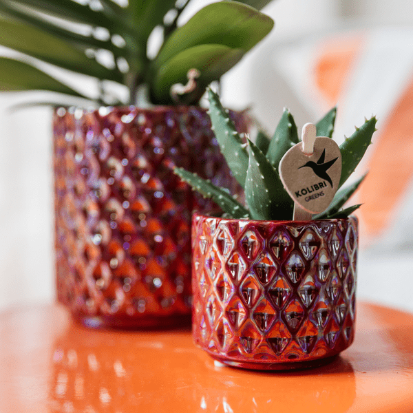 Diamant Perle Dekotopf – Rot – Ø6cm – Keramik Blumentopf mit edlem Glanz – Pflanztopf im modernen Design – Plant