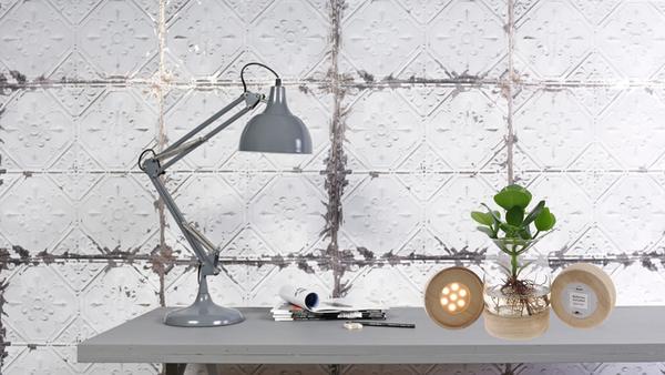 Clusia im Kingston Glas mit LED – Ø12cm – ↕30cm – Hydrokultur im dekorativen Glasgefäß – Plant