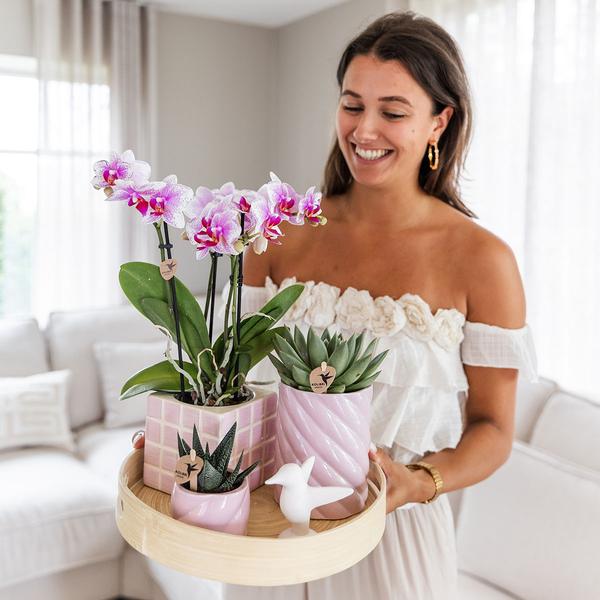 Candy Dekotopf – Hoch – Rosa – Ø9cm – Keramik Übertopf – Runde Form – Farbenfrohes Design – Für Zimmerpflanzen & Orchideen – Plant