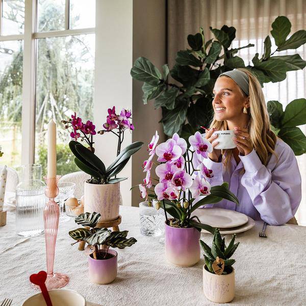 Gradience Übertopf Rosa – Ø6cm – Blumentopf mit Farbverlauf – Glänzender Keramiktopf für Sukkulenten & Mini – Orchideen – Plant