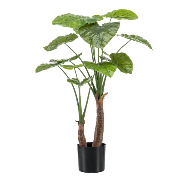 Alocasia – Künstliche Zimmerpflanze – Pfeilblätter – ↕110cm – Tropische Deko für Wohnzimmer, Flur & Wintergarten – Plant