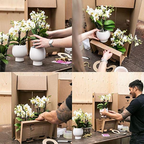 Safari Topf – Dekorativer Keramiktopf – Handgefertigter Blumentopf – Stilvolles Pflanzgefäß für Zimmerpflanzen – Ø12cm – Plant