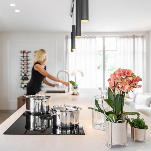 Phalaenopsis Orchideen Orange Zimmerpflanze Ø9cm – blühende Orchidee für Wohnzimmer, Büro & helle Standorte kaufen – Plant