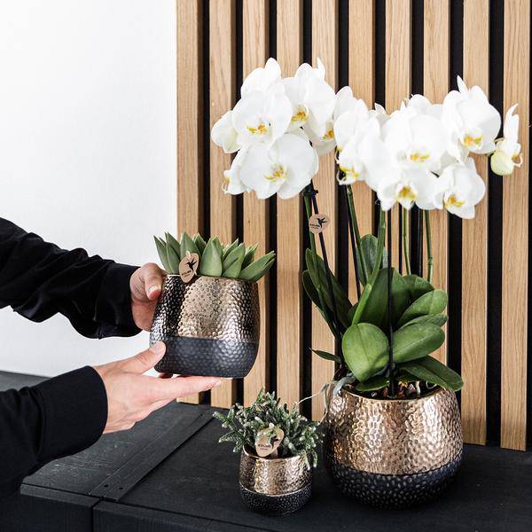 Keramik Blumentopf Kupfer – Pflanztopf Ø12cm – Übertopf glänzend für Zimmerpflanzen, Wohnzimmer, Küche, Büro & Innenräume – Plant