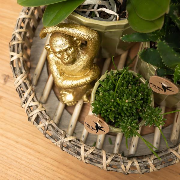 Ornament Dekoskulptur Sitzender Affe – Gold – Handgefertigte Polystone – Figur – 13cm – Verspieltes Dekoaccessoire für Zuhause und Pflanzensets – Plant