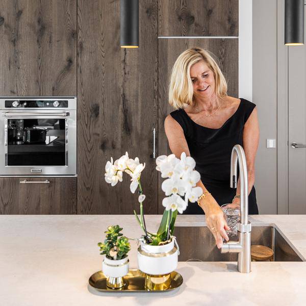 Sukkulenten 2er – Set in eleganten Le Chic Keramiktöpfen – Ø9cm – Pflegeleichte Grünpflanzen – Weiß mit goldenen Details – Dekoratives Pflanzen – Plant