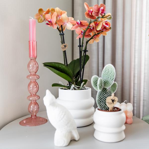 Bubble Dekotopf – Weiß – Ø9cm – Keramik Blumentopf mit Struktur – Stilvoller Pflanzentopf für Sukkulenten, Kakteen & kleine Zimmerpflanzen – Plant