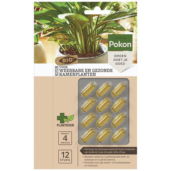 Bio Cure Kapseln für widerstandsfähige und gesunde Zimmerpflanzen Zimmerpflanze – pflegeleichte Grünpflanze für Wohnzimmer, Büro – Plant