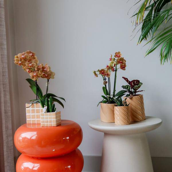 Candy Dekotopf Pfirsich – Ø6cm – Keramik Übertopf in Pastellfarbe – Stilvoller Blumentopf für Zimmerpflanzen & Orchideen – Fröhlicher Pflanzentopf – Plant