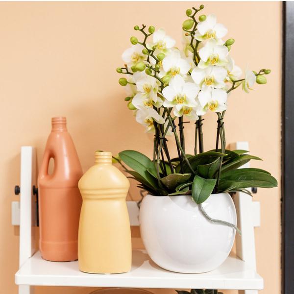 Blumentopf Bowl – Weiß – Keramik – Ziertopf Ø9cm – Handgefertigter Übertopf mit Wellenrand – Für Zimmerpflanzen & Sukkulenten – Plant