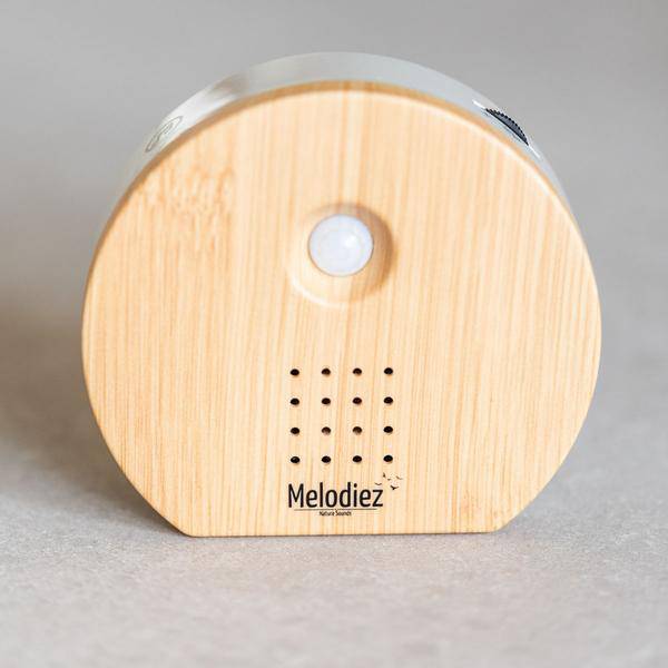 Melodiez Spieluhr Holz – Melody Nature Box mit Bewegungsmelder – Naturklänge wie Vogelgezwitscher, Meeresrauschen & Dschungel – Plant