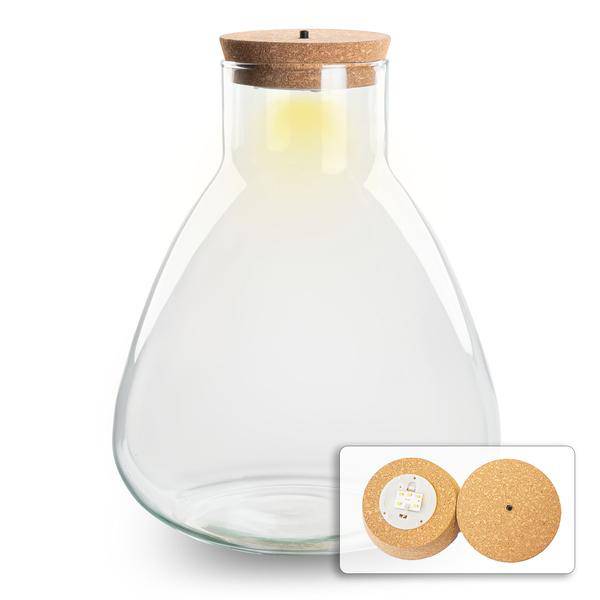 Flaschengarten ↕30cm – pflegeleichter Flaschengarten im Glas, Pflanzen Terrarium für Wohnzimmer & Büro – Plant