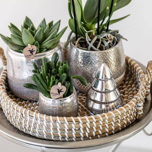 Blumentopf Elite Silber – Ø9cm – Glänzender Keramik Übertopf – Dekorativer Pflanztopf für Zimmerpflanzen – Keramiktopf für stilvolle Innendeko – Plant