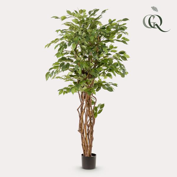 Ficus Liana – Künstliche Zimmerpflanze – ↕170cm – Realistische Stiefmütterchen – Pflanze – Dekoration für Wohnzimmer, Flur & Wintergarten – Plant
