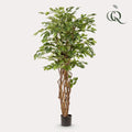 Ficus Liana – Künstliche Zimmerpflanze – ↕170cm – Realistische Stiefmütterchen – Pflanze – Dekoration für Wohnzimmer, Flur & Wintergarten – Plant