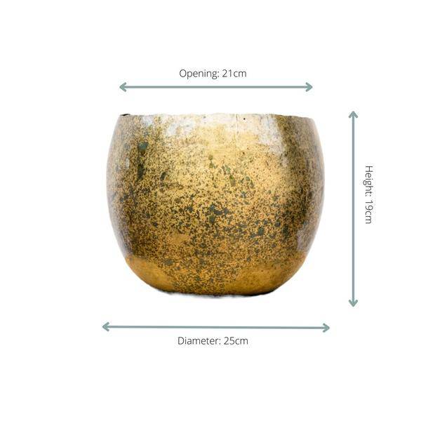 Topf Ellen Messing – 25cmx19cm – Eleganter Pflanzentopf mit Messing-Finish für Innen- und Außenbereich – Plant