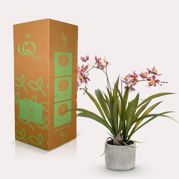 Künstliche Pflanze Orchidee – Bordeaux – 45cm – Täuschend echte Kunstorchidee im Topf – Dekoblume für Wohnzimmer, Büro & Esstisch – Plant