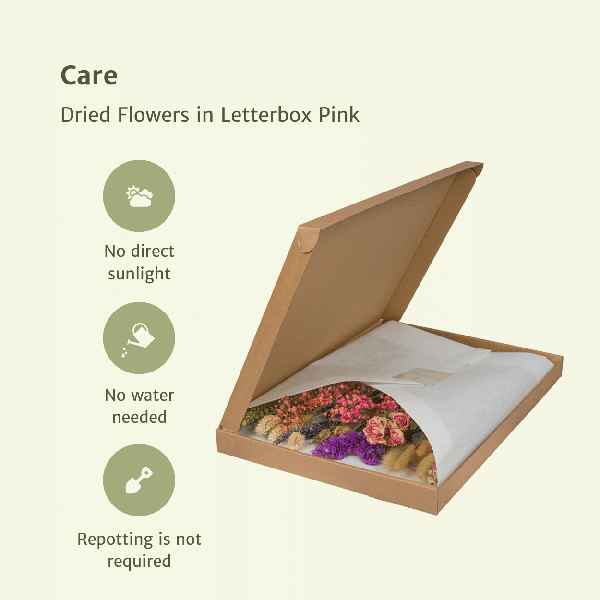Trockenblumen im Briefkasten Rosa – Eleganter getrockneter Blumenstrauß – Sanfte Weiß – , Beige – & Hellrosa – Töne – Pflegefreie Deko – Plant
