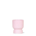 Diabolo Topf – Rosa – Ø6cm – Dekotopf für kleine Zimmerpflanzen, Sukkulenten & Kakteen – Plant