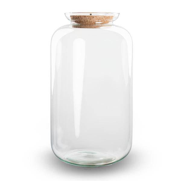 Flaschengarten Terrarium Flasche + LED in Kork ↕43cm – pflegeleichter Flaschengarten im Glas, Pflanzen Terrarium für Wohnzimmer & Büro – Plant