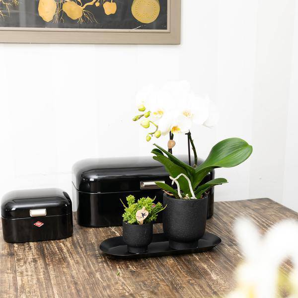 Ovales Tablett Schwarz – Ø30cm x 13cm – Metall – Deko – Tablett für Pflanzensets, Orchideen & Wohnaccessoires – Stilvoller Pflanzenuntersetzer – Plant