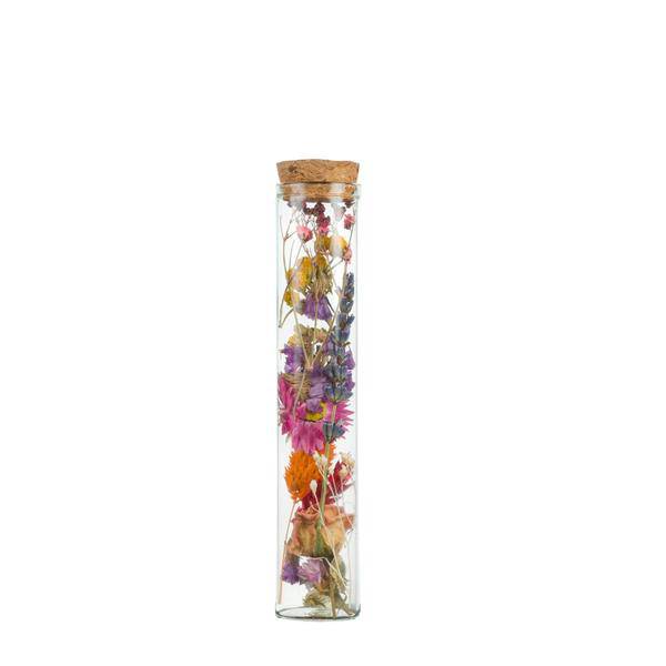 Getrocknete Blumen – Wunschflasche – Multi – 6 Stück – Höhe ca. 15cm – Kleine Glasflaschen mit Trockenblumen – Dekoration & Geschenkidee – Plant